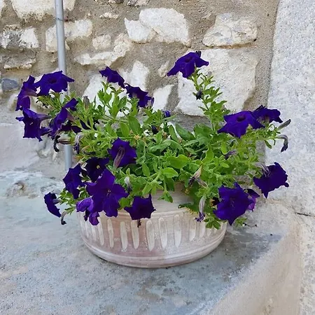 Maria's Rustic Stonehouse In Traditional Village Vakantiehuis Koumani