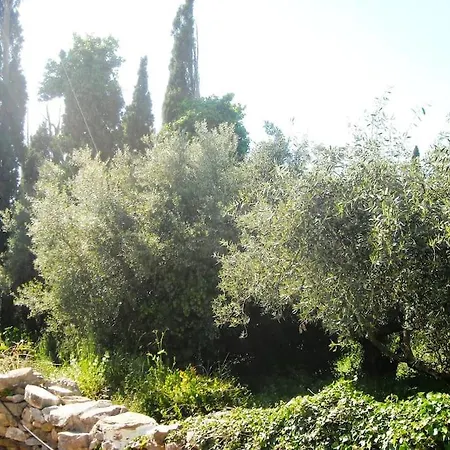 Maria's Rustic Stonehouse In Traditional Village Holiday home *