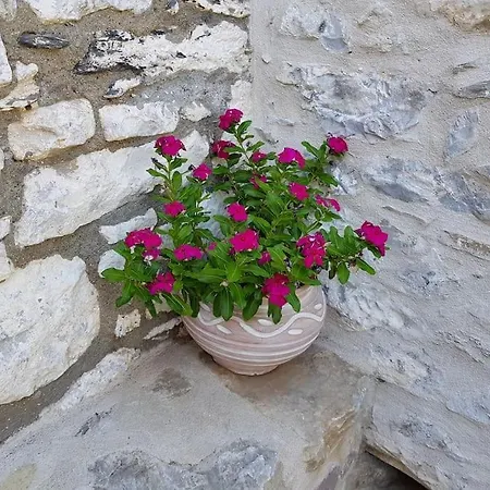 Maria's Rustic Stonehouse In Traditional Village Vakantiehuis